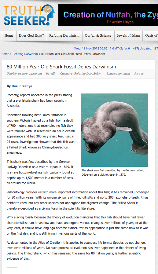 80 Milyon Yaşındaki Köpek Balığı Fosili Darwinizmi Yalanlıyor 